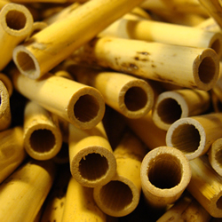 Oboe d'Amore Reed